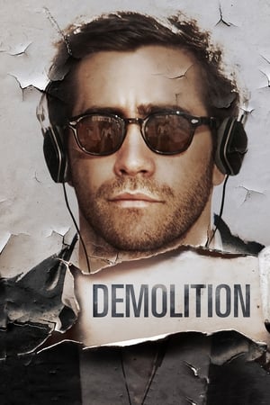 Demolition 2015 Dual Audio Hindi 300MB ESubs
