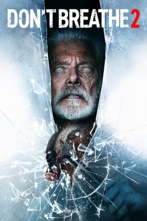 Don’t Breathe 2 (2021) Hindi Dual Audio 400MB