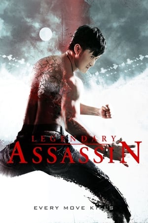 Legendary Assassin (2008) Hindi Dual Audio [1GB]