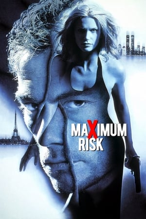 Maximum Risk (1996) Hindi Dual Audio 330MB