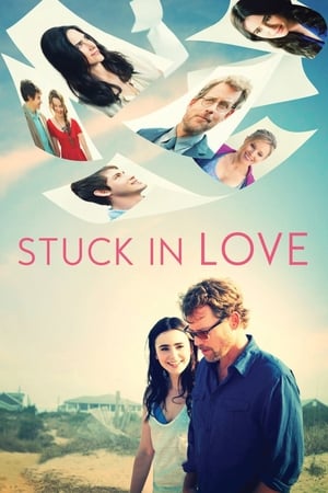 Stuck in Love (2012) Hindi Dual Audio 300MB