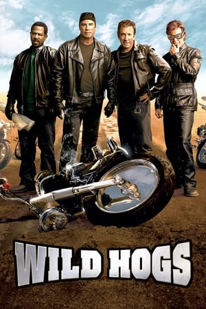 Wild Hogs (2007) Hindi Dual Audio [750MB]
