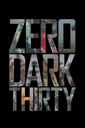Zero Dark Thirty 2012 Hindi Dual Audio 450MB